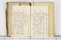 明い023010180007.jpg