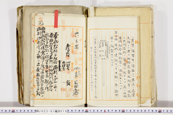 明い023010180008.jpg