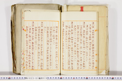 明い023010190009.jpg