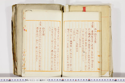 明い023010190012.jpg