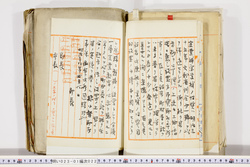 明い023010220006.jpg