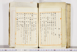 明い023020020002.jpg