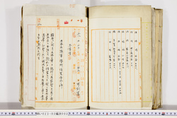 明い023020020003.jpg