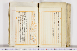 明い023020040002.jpg