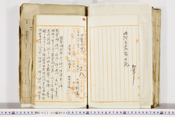 明い023020040005.jpg
