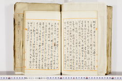 明い023020040006.jpg