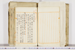 明い023020040008.jpg