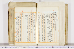 明い023020040009.jpg