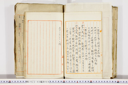 明い023020040010.jpg