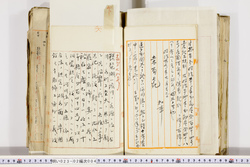 明い023020040014.jpg