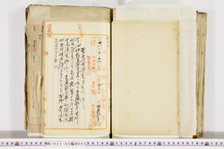 明い023020050004.jpg