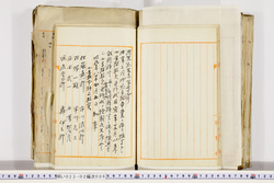明い023020060002.jpg