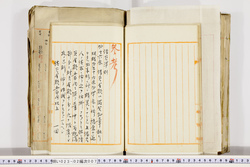 明い023020070003.jpg