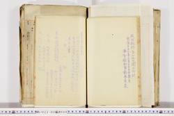 明い023020090003.jpg