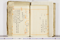 明い023020110008.jpg