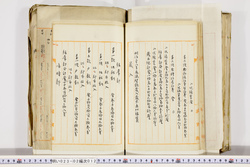 明い023020120004.jpg