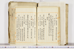 明い023020120005.jpg