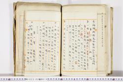 明い023020190002.jpg