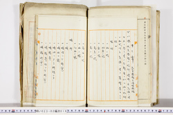 明い023020190004.jpg