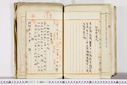 明い023020190020.jpg