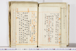 明い023020220002.jpg