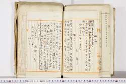 明い023020240002.jpg