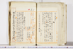 明い023020240006.jpg
