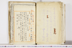 明い023020240022.jpg