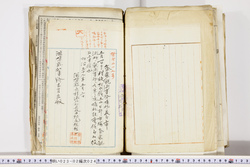明い023020240024.jpg