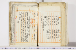 明い023020260005.jpg