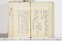 明い024010020002.jpg
