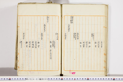 明い024010050026.jpg