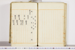 明い024010050044.jpg