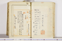 明い024010060005.jpg
