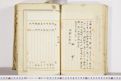 明い024010060006.jpg