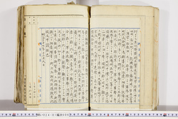 明い024010060025.jpg