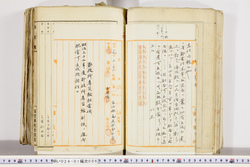 明い024010060027.jpg