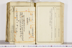 明い024010060037.jpg