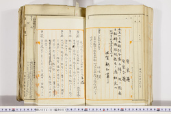 明い024010070002.jpg