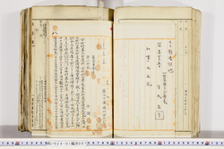明い024010070006.jpg