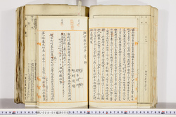 明い024010080002.jpg