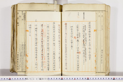 明い024010080004.jpg