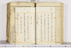 明い024010080005.jpg