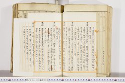 明い024010090003.jpg
