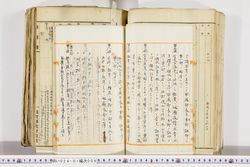 明い024010090004.jpg