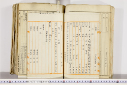 明い024010090009.jpg
