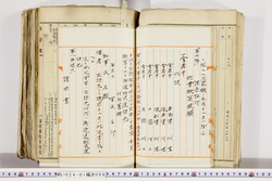 明い024010090022.jpg