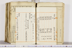明い024010090023.jpg