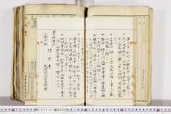 明い024010090024.jpg
