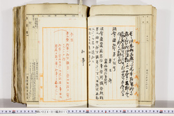 明い024010110002.jpg